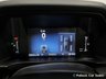 USED 2024 24 FORD RANGER 2.0 TD EcoBlue Wildtrak Pickup Double Cab 4dr Diesel Auto 4WD Euro 6 (s/s) (205 ps) Chassis Underseal,Roller Shutter,Never Towed