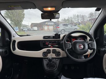 View our FIAT PANDA