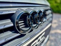 USED 2019 19 AUDI A4 AVANT 2.0 TFSI 40 Black Edition Estate 5dr Petrol S Tronic Euro 6 (s/s) (190 ps) Award Winning Used Car Dealer Essex