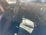 USED 2017 17 VOLVO V40 1.5 T2 R-Design Hatchback 5dr Petrol Auto Euro 6 (s/s) (122 ps) Fully stamped service book : Bluetooth : DAB Radio : R-Design upholstery + steering wheel : Heated front seats : Heated screen : Air-conditioning : Rear parcel shelf