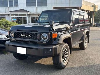 2025 TOYOTA LAND CRUISER