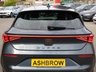 USED 2024 24 CUPRA LEON 1.5 TSI V1 5d 150 S/S 1 OWNER FROM NEW, FULL SERVICE HISTORY, SAT NAV, DIGITAL COCKPIT, 18 INCH ALLOYS, APPLE CARPLAY & ANDROID AUTO, REAR VIEW CAMERA, PARK PILOT FRONT/REAR & SIDE, PARK ASSIST, DAB RADIO, BLUETOOTH, ADAPTIVE CRUISE CONTROL, LANE ASSIST, WIRELESS PHONE CHARGER, DRIVE PROFILE, 3 ZONE CLIMATE CONTROL, MANUAL 6 SPEED, FULL LED HEADLIGHTS WITH DAYTIME RUNNING LIGHTS, FLAT BOTTOM MFSW, POWER FOLDING MIRRORS, AUTO LIGHTS & WIPERS, VOICE CONTROL, KEYLESS ENTRY & START, PART LEATHER INTERIOR, 4x USB C PORTS