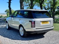 USED 2014 14 LAND ROVER RANGE ROVER VOGUE SE 3.0 TDV6 AUTOMATIC 4X4 TURBO DIESEL  ** FULL HISTORY INC BELTS **