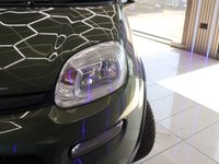 USED 2013 63 FIAT PANDA 0.9 TwinAir 4x4 Hatchback 5dr Petrol Manual Euro 5 (s/s) (85 bhp) 4x4 / LOW MILES / FSH