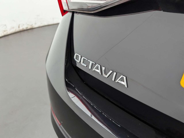USED 2024 24 SKODA OCTAVIA 1.4 Octavia SE Tech TSI IV Semi-Auto 5dr CLICK+COLLECT / HOME DELIVERY