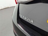 USED 2024 24 SKODA OCTAVIA 1.4 Octavia SE Tech TSI IV Semi-Auto 5dr CLICK+COLLECT / HOME DELIVERY