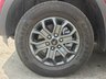 USED 2023 73 FORD RANGER 2.0 TD EcoBlue Wildtrak Pickup Double Cab 4dr Diesel Auto 4WD Euro 6 (s/s) (205 ps) Apple CarPlay + Rear Camera