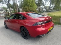 USED 2019 19 PEUGEOT 508 1.5 BlueHDi GT Line Fastback 5dr Diesel EAT Euro 6 (s/s) (130 ps) GREAT SPEC CAR WITH SUPERB HISTORY