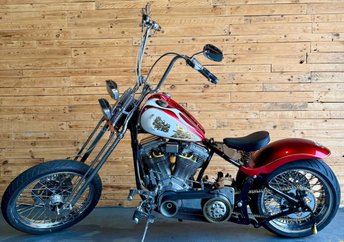 View our HARLEY-DAVIDSON SOFTAIL