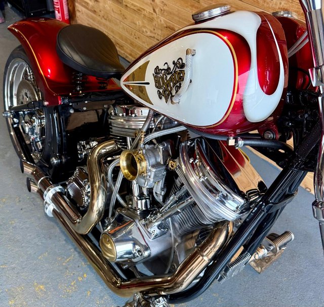 View our HARLEY-DAVIDSON SOFTAIL