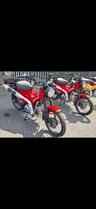 USED 2026 HONDA CT125 CT 125 Commuter Perfect for daily commute or seasoned veterans. Unbelievable fuel economy approx 100 MPG