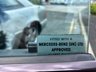 USED 2001 51 MERCEDES-BENZ SL 3.2 SL320 Convertible 2dr Petrol Automatic (274 g/km, 224 bhp)-Fantastic Low Mileage Example-Finished In Brilliant Silver Metallic With Heated Black Leather Upholstery-3 Former Keepers-Last Keeper Since June 2007. 