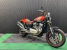 USED 2009 09 HARLEY-DAVIDSON SPORTSTER 1200 FINANCE SPECIALISTS APPLY NOW LOW RATE FINANCE DELIVERY AVAILABLE