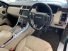 USED 2014 14 LAND ROVER RANGE ROVER SPORT 3.0 SD V6 HSE SUV 5dr Diesel Auto 4WD Euro 5 (s/s) (292 ps) Excellent condition, FSH, Timing belt done!