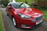 USED 2016 66 FORD FOCUS 1.5 TDCi Zetec Hatchback 5dr Diesel Manual Euro 6 (s/s) (120 ps) Just Had Service