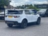 USED 2019 68 LAND ROVER DISCOVERY SPORT 2.0 TD4 Landmark Auto 4WD Euro 6 (s/s) 5dr PAN ROOF - ELECTRIC TAILGATE