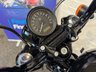 USED 2019 69 HARLEY-DAVIDSON SPORTSTER XL1200XS FORTY EIGHT SPECIAL 3729 MIES + TWO BROS EXHAUST