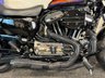 USED 2019 69 HARLEY-DAVIDSON SPORTSTER XL1200XS FORTY EIGHT SPECIAL 3729 MIES + TWO BROS EXHAUST