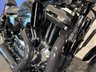 USED 2019 69 HARLEY-DAVIDSON SPORTSTER XL1200XS FORTY EIGHT SPECIAL 3729 MIES + TWO BROS EXHAUST