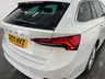 USED 2020 70 SKODA OCTAVIA 1.5 TSI ACT SE L First Edition Estate 5dr Petrol Manual Euro 6 (s/s) (150 ps) heated seats, NAV, climate, DAB