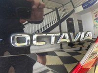 USED 2019 69 SKODA OCTAVIA 1.0 TSI GPF SE Hatchback 5dr Petrol Manual Euro 6 (s/s) (115 ps) PAN ROOF! SENSORS! CRUISE