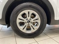 USED 2018 18 KIA SPORTAGE 1.6 GDi 1 SUV 5dr Petrol Manual Euro 6 (s/s) (130 bhp) ARCTIC WHITE / BLACK CLOTH TRIM / AIRCON / ELECTRIC WINDOWS X4 / ELECTRIC MIRRORS / CRUISE CONTROL / SPEED LIMITER / FM AM DAB CD TUNER / AUX / USB / BLUETOOTH / REMOTE CENTRAL LOCKING / REAR WASH/WIPE / 16" SILVER FINISH ALLOY WHEELS / SERVICE HISTORY