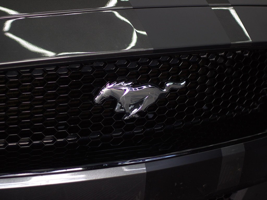 USED 2018 68 FORD MUSTANG 5.0 V8 GT Fastback Euro 6 2dr 19"s|QUADS|SHAKER