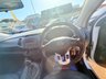 USED 2013 13 KIA SPORTAGE 2.0 CRDi KX-2 SUV 5dr Diesel Auto AWD Euro 5 (134 bhp) 1 Owner Diesel Automatic 4x4 SUV with a Full Kia History