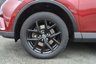 USED 2018 19 TOYOTA RAV4 2.5 VVT-h Excel SUV 5dr Petrol Hybrid CVT Euro 6 (s/s) (197 ps) Toyota Hybrid