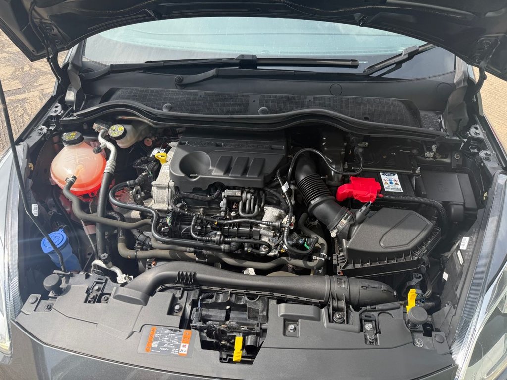 USED 2021 21 FORD FIESTA 1.0T EcoBoost MHEV ST-Line Edition Hatchback 5dr Petrol Manual Euro 6 (s/s) (125 ps) STUNNING LATER CHAIN ENGINE VERSION