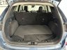 USED 2020 20 FORD KUGA 2.0 EcoBlue MHEV Titanium First Edition SUV 5dr Diesel Manual Euro 6 (s/s) (150 ps) 