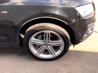 USED 2016 65 AUDI Q5 2.0 TDI S line Plus SUV 5dr Diesel S Tronic quattro Euro 6 (s/s) (190 ps) full service