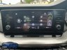 USED 2020 70 SKODA OCTAVIA 2.0 TDI SE First Edition Hatchback 5dr Diesel Manual Euro 6 (s/s) (116 ps) 
