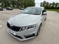 USED 2018 18 SKODA OCTAVIA 2.0 TDI vRS Hatchback 5dr Diesel DSG Euro 6 (s/s) (184 ps) MOT JAN 2027 CLIMATE, LOVELY CAR