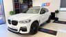 USED 2019 19 BMW X4 2.0 20d M Sport X Auto xDrive Euro 6 (s/s) 5dr PERFORMANCEKIT+PANROOF+WOW