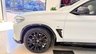 USED 2019 19 BMW X4 2.0 20d M Sport X Auto xDrive Euro 6 (s/s) 5dr PERFORMANCEKIT+PANROOF+WOW