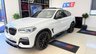 USED 2019 19 BMW X4 2.0 20d M Sport X Auto xDrive Euro 6 (s/s) 5dr PERFORMANCEKIT+PANROOF+WOW