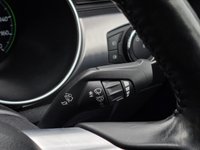 USED 2020 19 FORD MUSTANG 5.0 V8 Bullitt Fastback 2dr Petrol Manual Euro 6 (459 ps) FSH|BANG&OLUFSEN|FULLBODYPPF