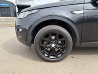 USED 2019 19 LAND ROVER DISCOVERY SPORT 2.0 TD4 HSE SUV 5dr Diesel Auto 4WD Euro 6 (s/s) (180 ps) ANOTHER STUNNING ADDITION TO OUR EXTENSIVE DISCOVERY SPORT SELECTION+7 SEATER+4 WHEEL DRIVE+ONLY 1 FORMER KEEPER+SERVICE HISTORY+DIESEL+AUTOMATIC+ULEZ COMPLIANT+PRIVACY GLASS+FULL LEATHER INTERIOR+FULL PANORAMIC GLASS ROOF+SATELLITE NAVIGATION+PARK ASSIST+CLIMATE CONTROL+ALLOY WHEELS+1 FULL YEARS MOT PRIOR TO COLLECTION+CALL NOW SPEAK WITH OUR EXPERIENCED SALES ADVISORS AND ARRANGE A VIEWING!!!!!!!!!!!!!!!!!!!!!!!!!!!!!!!!!!!!