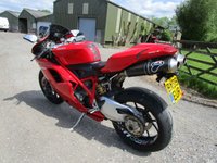 USED 2009 09 DUCATI 1098 1099cc 