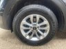 USED 2019 69 KIA SPORTAGE 1.6 CRDi EcoDynamics+ 1 SUV 5dr Diesel Hybrid Manual Euro 6 (s/s) (114 bhp) * 1 KEEPER FROM NEW * 2 KEYS * FULL SERVICE HISTORY * 8 STAMPS * MIRROR PLAY * PARKING CAMERA *