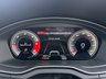 USED 2021 21 AUDI SQ5 3.0 TDI V6 SUV 5dr Diesel Tiptronic quattro Euro 6 (s/s) (341 ps) 
