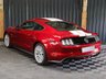 USED 2015 15 FORD MUSTANG 5.0 V8 GT Fastback 2dr Petrol SelShift Euro 6 (416 bhp) 1 YEAR WARRANTY - GT PREMIUM PACK - REVERSE CAMERA - SHAKER AUDIO - FULL LEATHER, HEATED AND COOLED, POWER ADJUSTMENT SPORTS SEATS