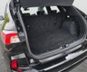 USED 2022 22 FORD KUGA 1.5 EcoBlue ST-Line X Edition SUV 5dr Diesel Manual Euro 6 (s/s) (120 ps) 