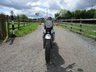 USED 2007 57 TRIUMPH BONNEVILLE 865 865 Roadster/Retro Petrol Manual (66 ps) 