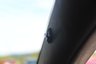 USED 2020 69 ABARTH 595 1.4 T-Jet EsseEsse 70th Hatchback 3dr Petrol Manual Euro 6 (180 bhp) THE ULTIMATE SPECIFICATION ABARTH