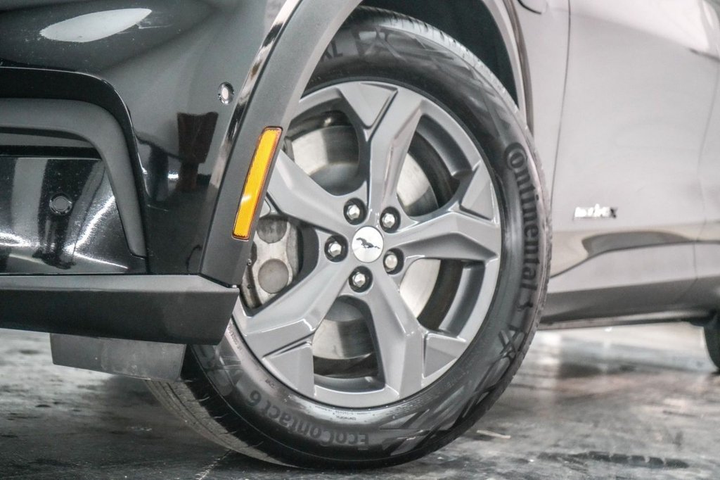 View our FORD MUSTANG MACH-E