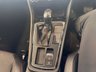 USED 2019 68 SEAT LEON 2.0 TSI FR Hatchback 5dr Petrol DSG Euro 6 (s/s) (190 ps)+2 FORMER KEEPERS+HISTORY WITH GEARBOX SERVICE+MEDIA+PARK CONTROL+BLUETOOTH+PRIVACY+APPS+CLIMATE+ALLOYS+DAB+CRUISE+GEAR BOX SERVICED 2 FORMER KEEPERS+HISTORY+MEDIA+PARK CONTROL+BLUETOOTH+PRIVACY+APPS+CLIMATE+ALLOYS+DAB+CRUISE+HPI CLEAR