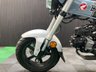 USED 2024 24 HONDA DAX 125 FINANCE SPECIALISTS APPLY NOW LOW RATE FINANCE DELIVERY AVAILABLE