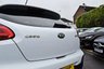 USED 2014 03 KIA PROCEED 1.6 GDi EcoDynamics S Hatchback 3dr Petrol Manual Euro 5 (s/s) (133 bhp) FULL SERVICE HISTORY  .  PARKING SENSORS